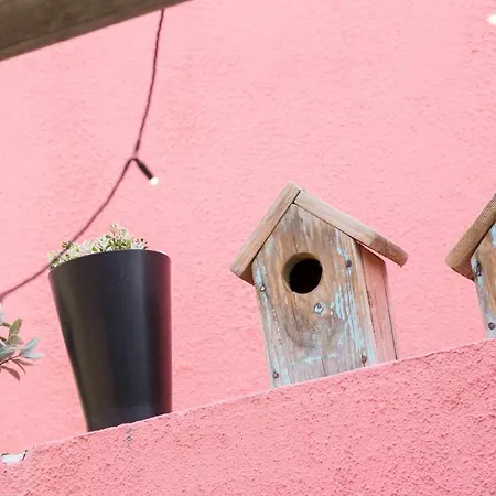 Charming With Terrace St Amaro Apartment